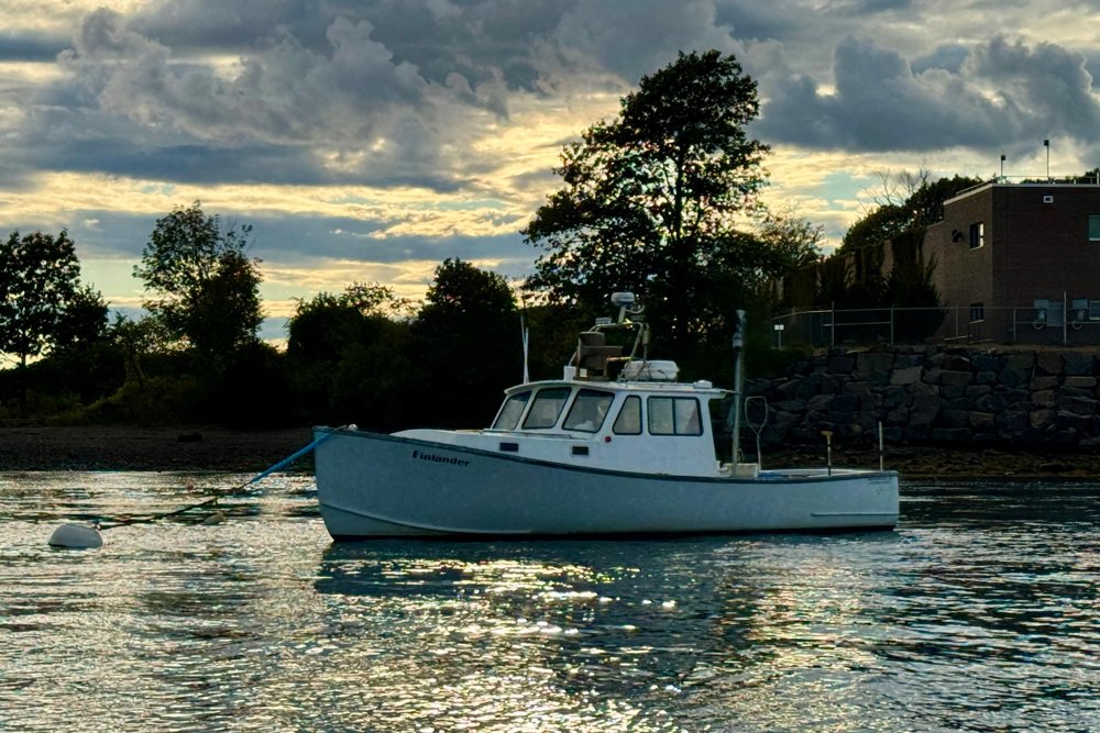 2007 Northern Bay 36