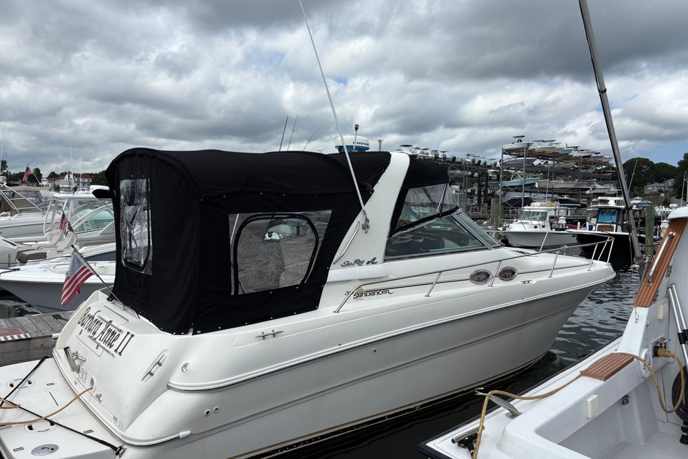 2000 Sea Ray Sundancer 310