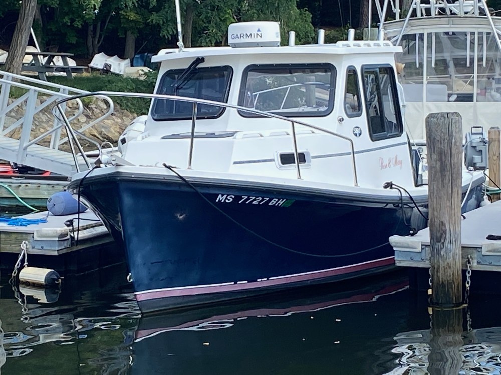 2017 Eastern 22 Sisu Hardtop