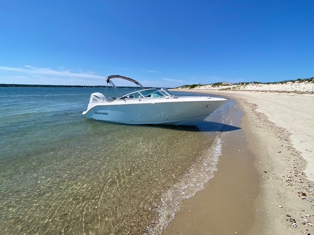 2027 Sailfish 236DC